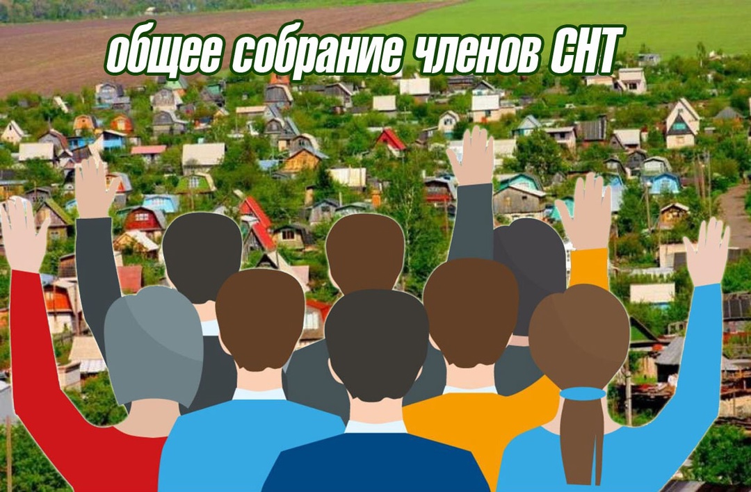 Общее собрание членов СНТ Родник