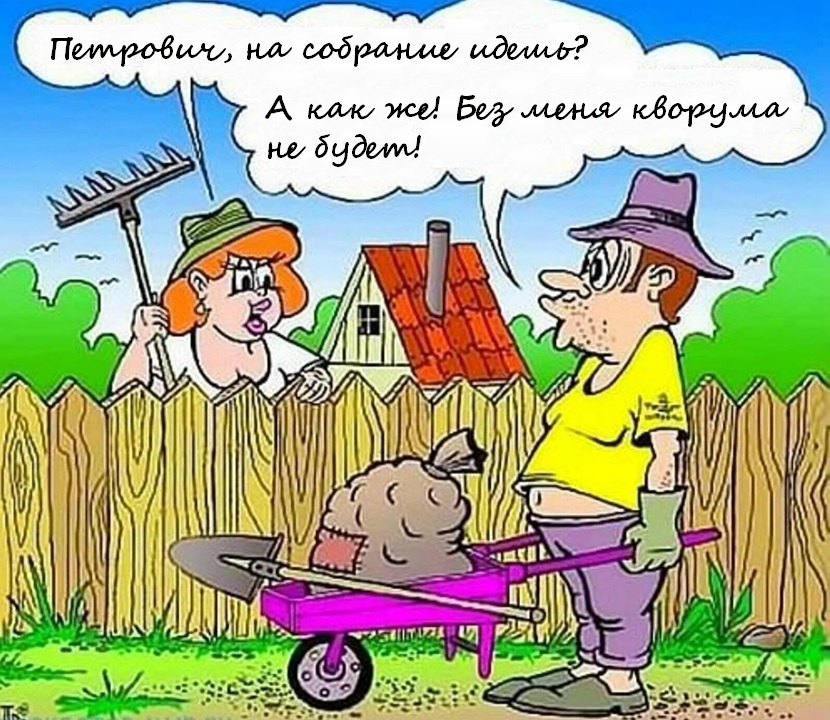 Общее собрание членов СНТ Родник