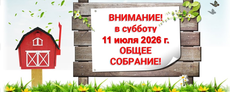 Общее собрание членов СНТ Родник